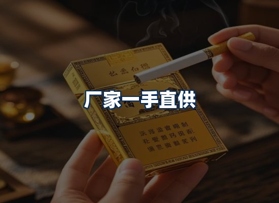 专业团队办公环境